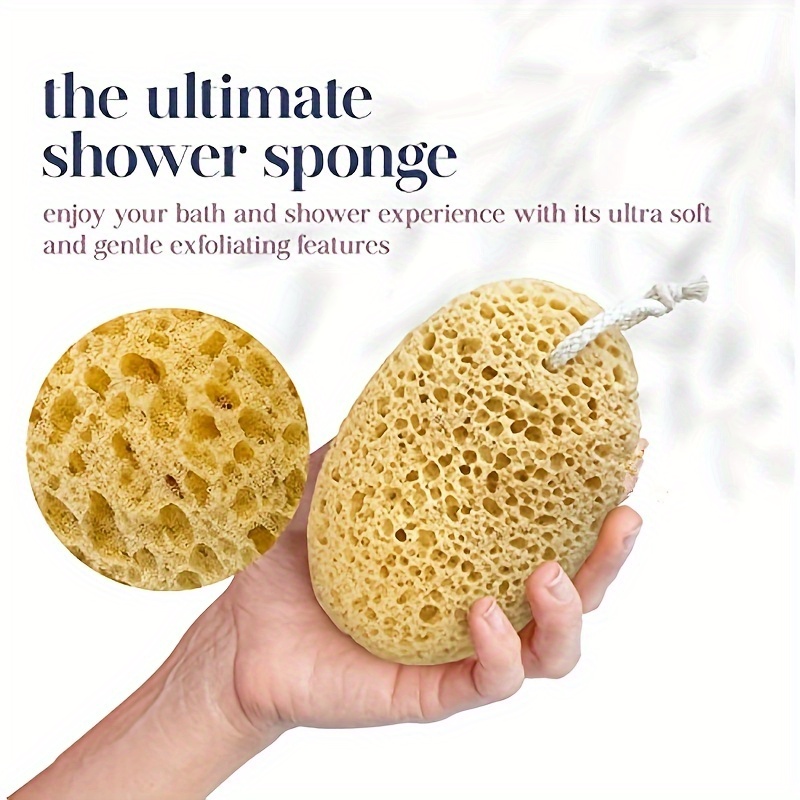 Unisex Seaweed Sponge Bath Bub - огляд і ціна Seaweed Snack